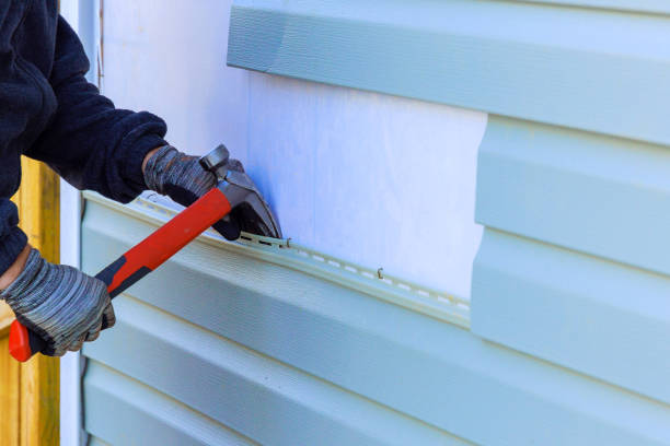 Best Custom Siding Design  in Audubon, IA