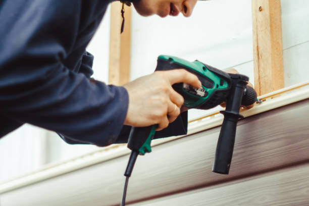 Best Siding Removal and Disposal  in Audubon, IA
